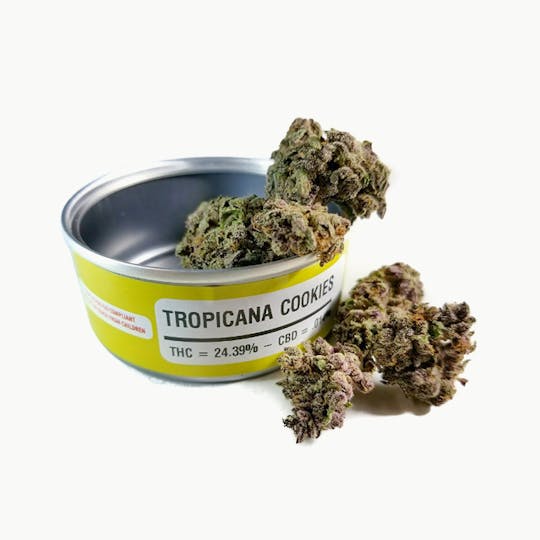 Space Monkey Meds - Tropicana Cookies - 1