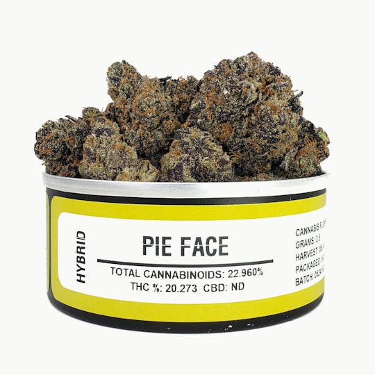 Space Monkey Meds - Pie Face - 1