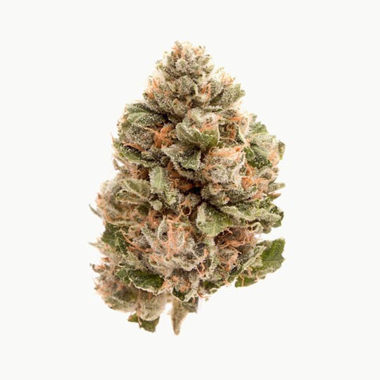 Natty Rems - Diablo OG - 1