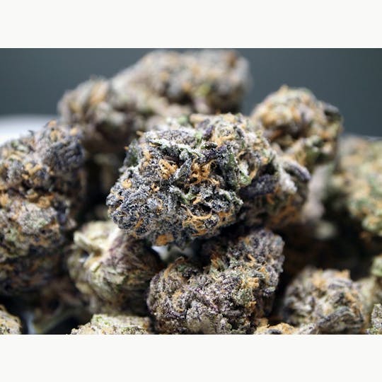 High Tide Organics - Grand Daddy Purple - 1