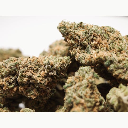 High Tide Organics - Double Dream - 1