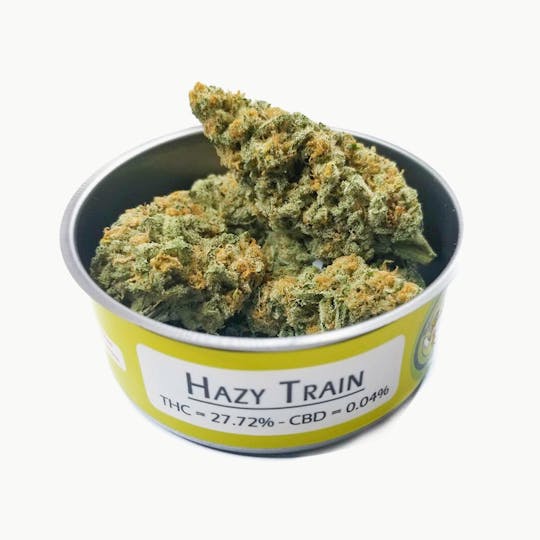 Space Monkey Meds - Hazy Train - 1