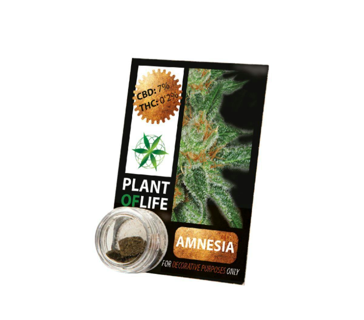 Plant Of Life - CBD COMPRESS AMNESIA - 1