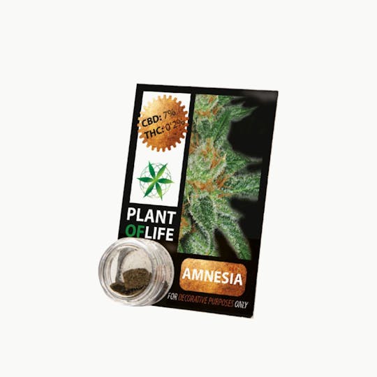 Plant Of Life - CBD COMPRESS AMNESIA - 1