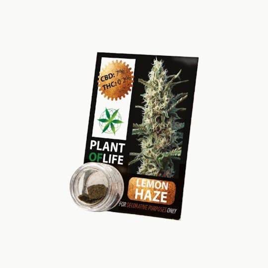Plant Of Life - CBD COMPRESS LEMON HAZE - 1