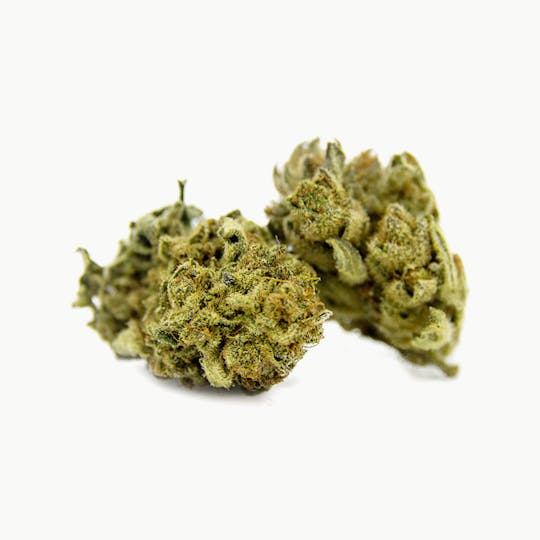 Swiss Botanic - Purple Haze - 1