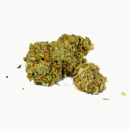 Swiss Botanic - White Berry - 1