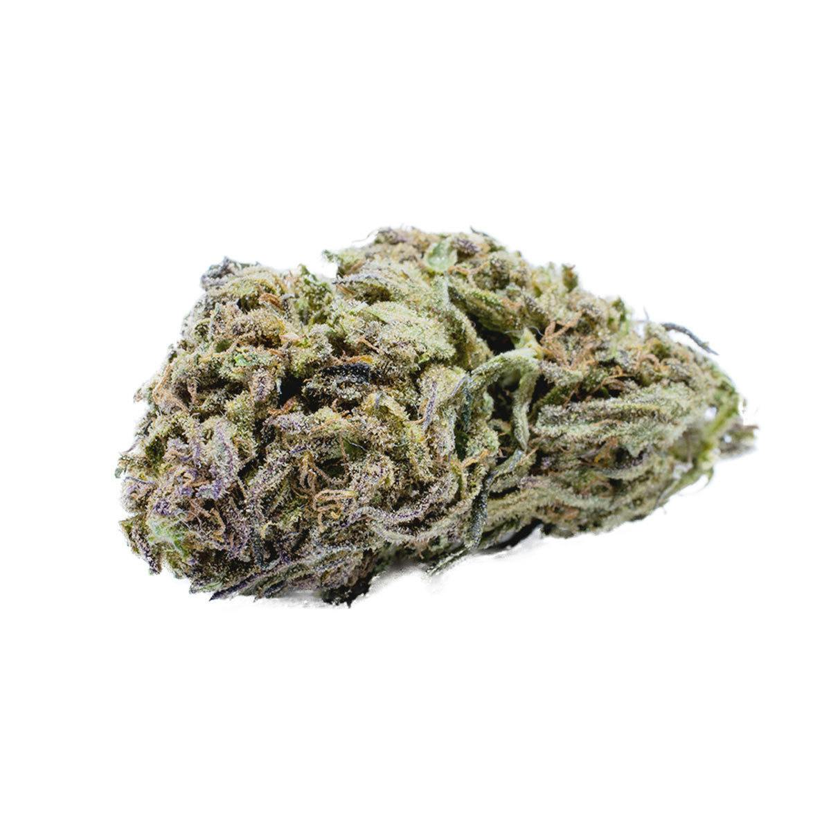 Swiss Botanic - Swiss Cheese - 1