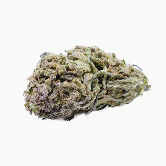 Swiss Botanic - Swiss Cheese - 1
