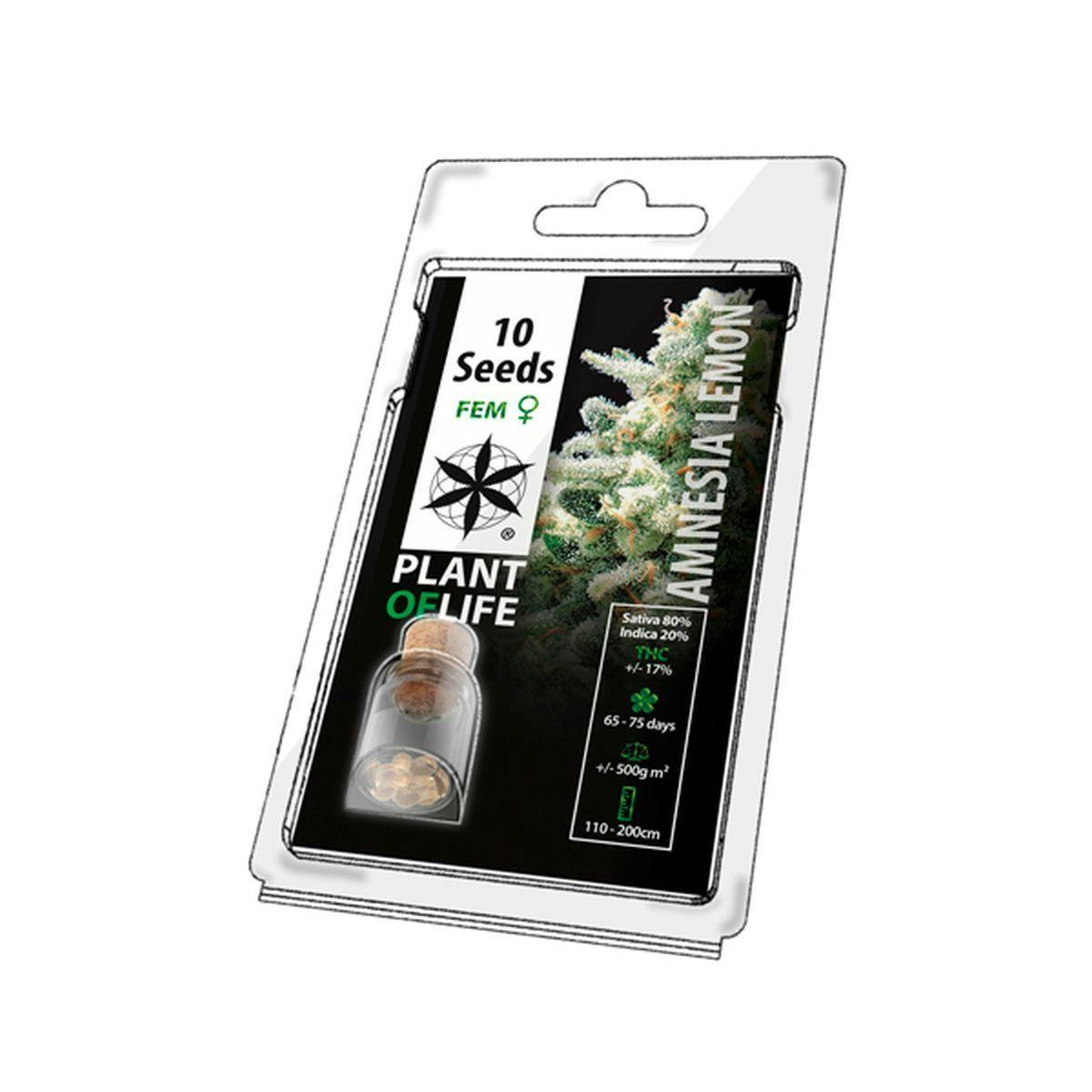 Plant Of Life - AMNESIA LEMON (Feminized) - 1