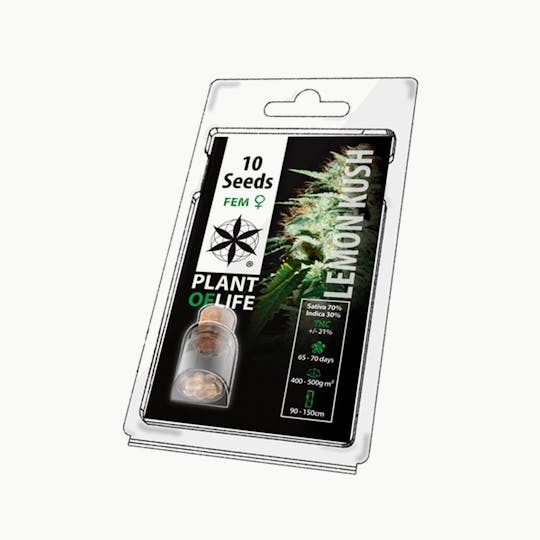 Plant Of Life - LEMON KUSH (Feminized) - 1