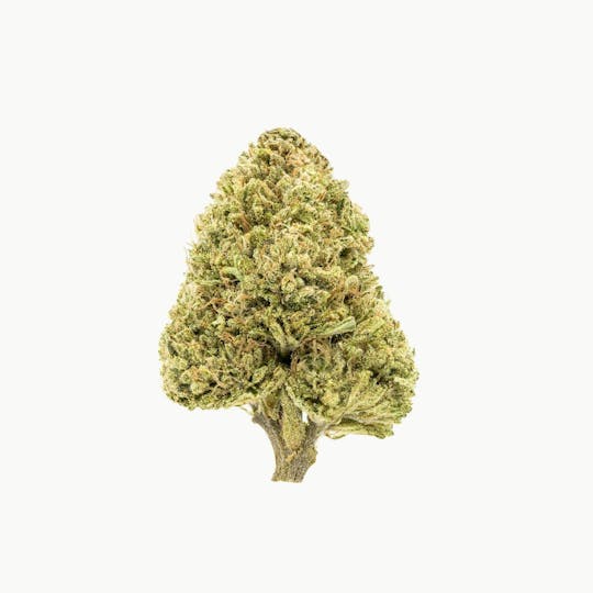 Flow Kana - Jah Goo by Moonraker Farms | Gold - 1
