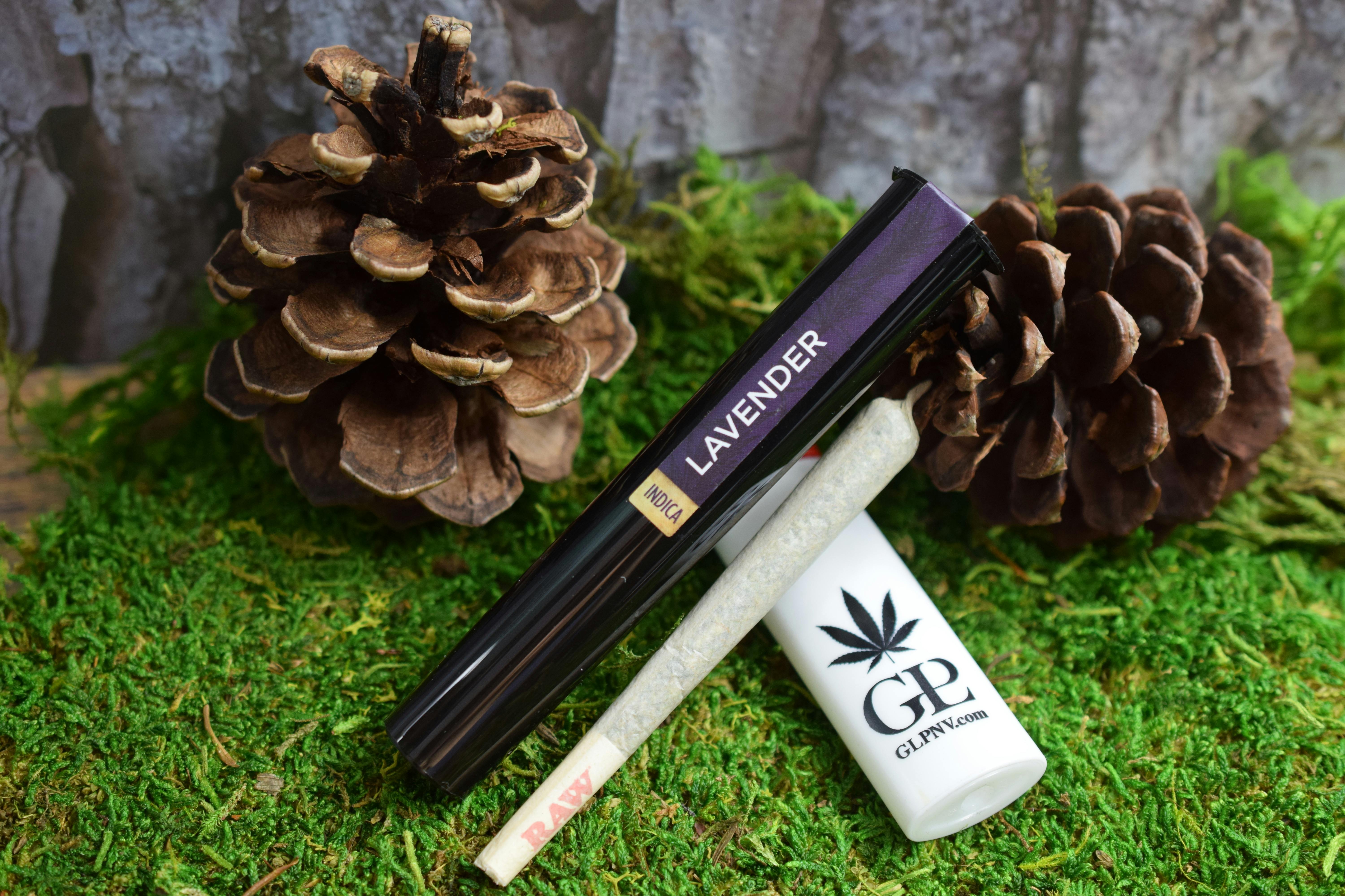 GLP - Lavender Pre-Roll - 1