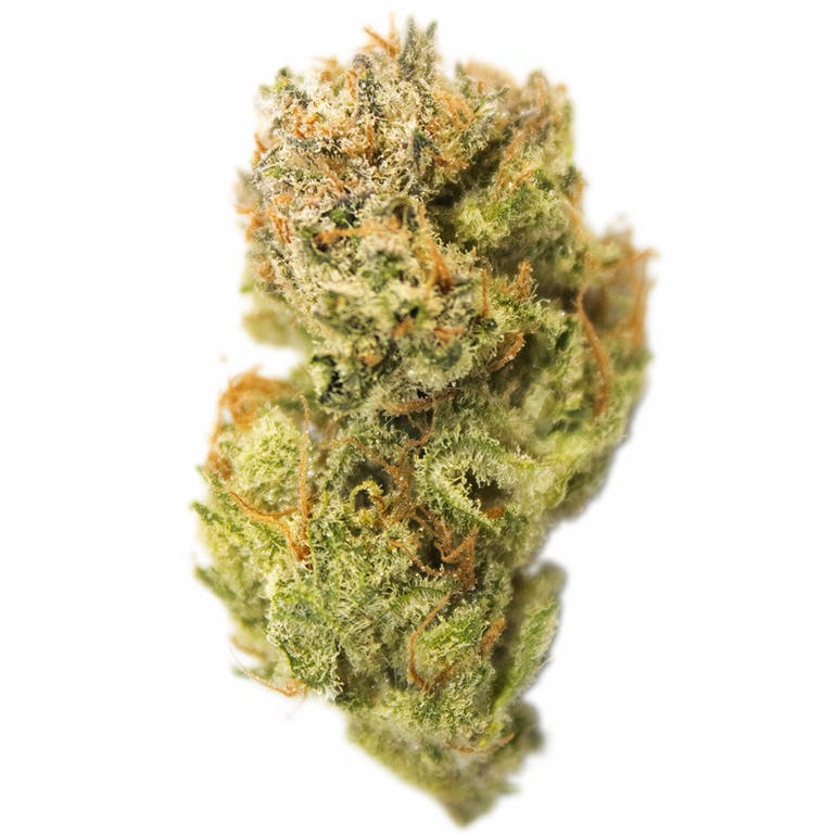 Aurora Blaze - Purple Berry Kush - 1