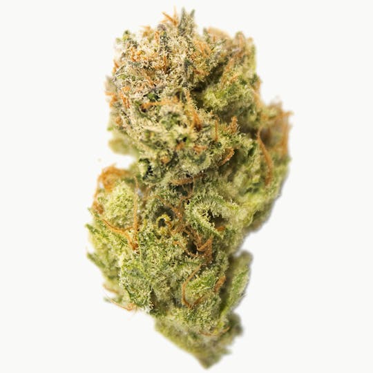 Aurora Blaze - Purple Berry Kush - 1