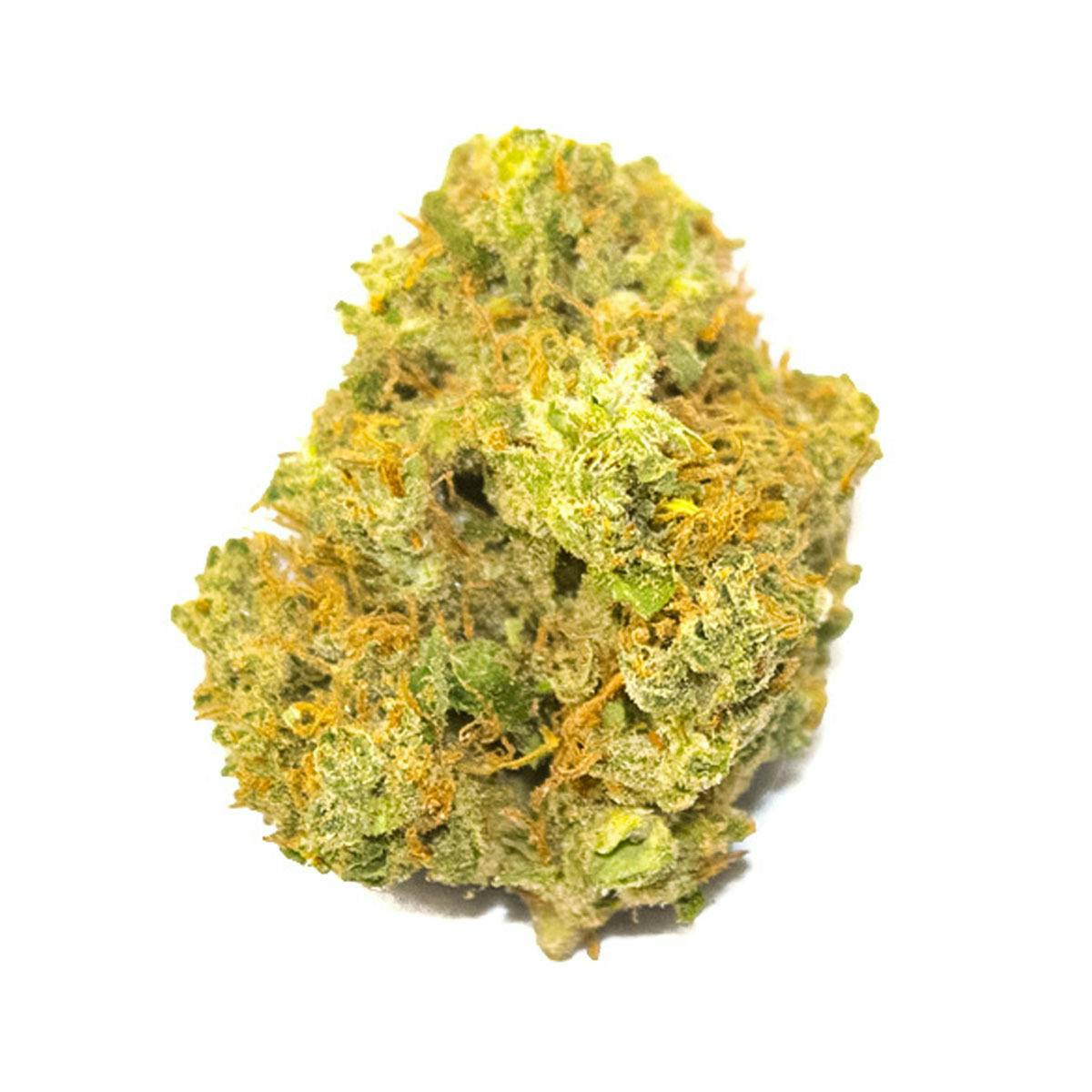 Aurora Blaze - Shiatsu - 1