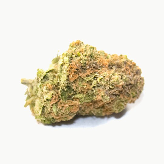 Aurora Blaze - Critical Super Silver Haze - 1