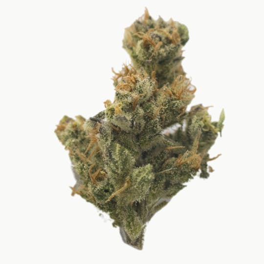 Aurora Blaze - AK-47 - 1