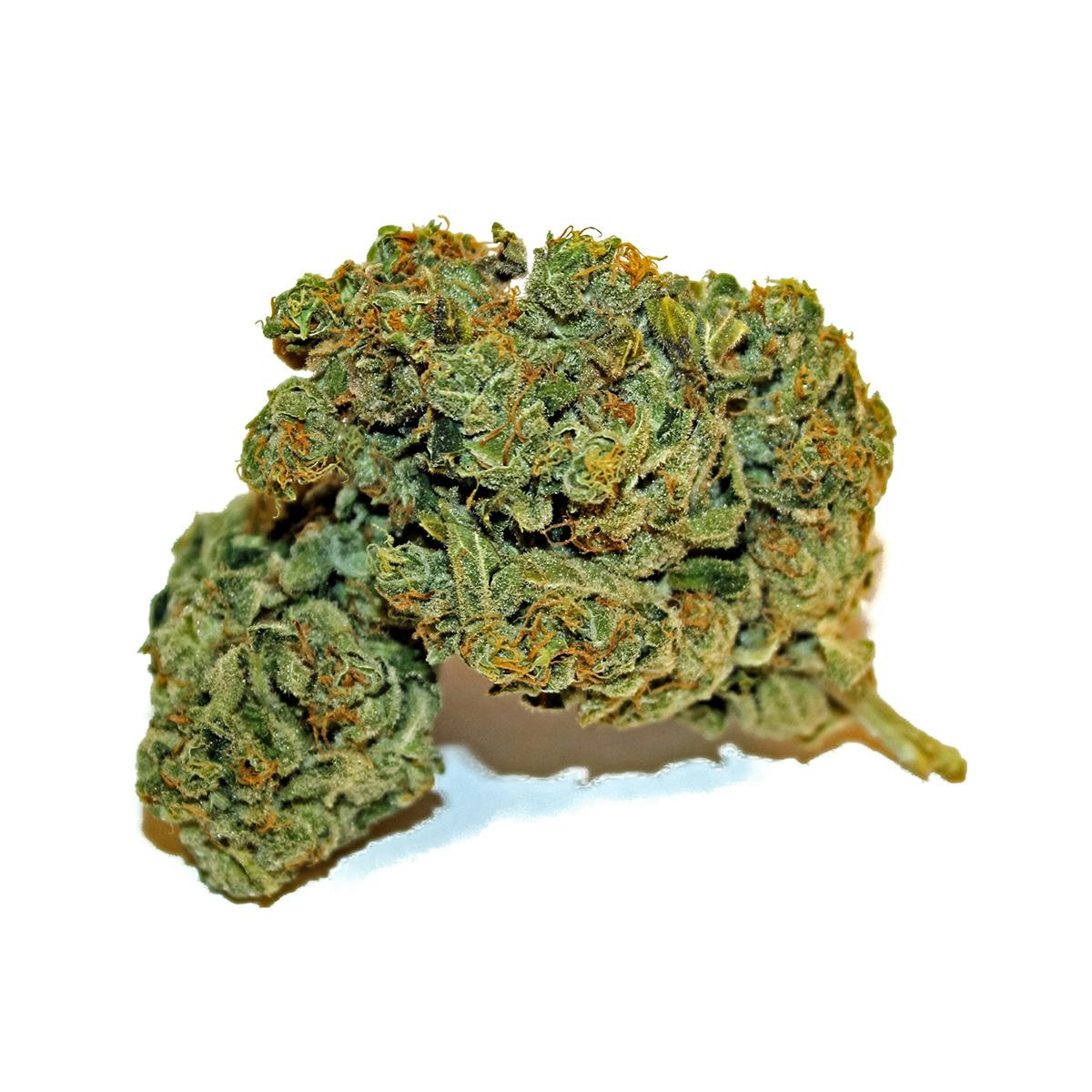 Pine Street Cannabis Company - Pine Street | Coma Kush | Flower - 1