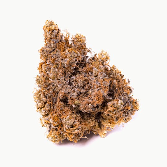 Medizin - Animal Cookies Flower - 1