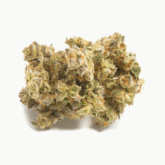 Medizin - Chloe Flower - 1