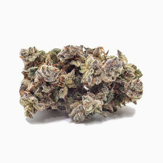 Medizin - Hawaiian Butterscotch Flower - 1