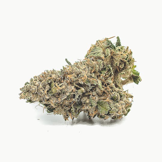 Medizin - Irene Flower - 1