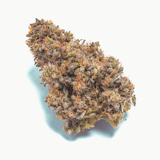 Medizin - Mary Chino Flower - 1