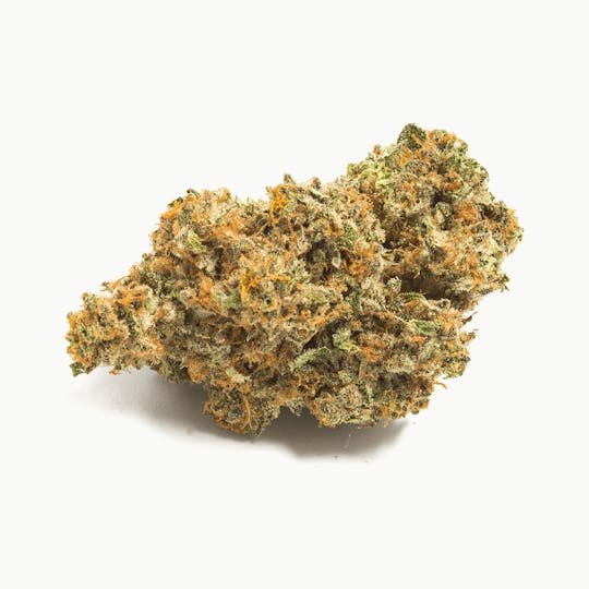 Medizin - OGKB 2.0 Flower - 1