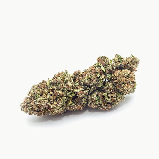Medizin - SFV OG Flower - 1