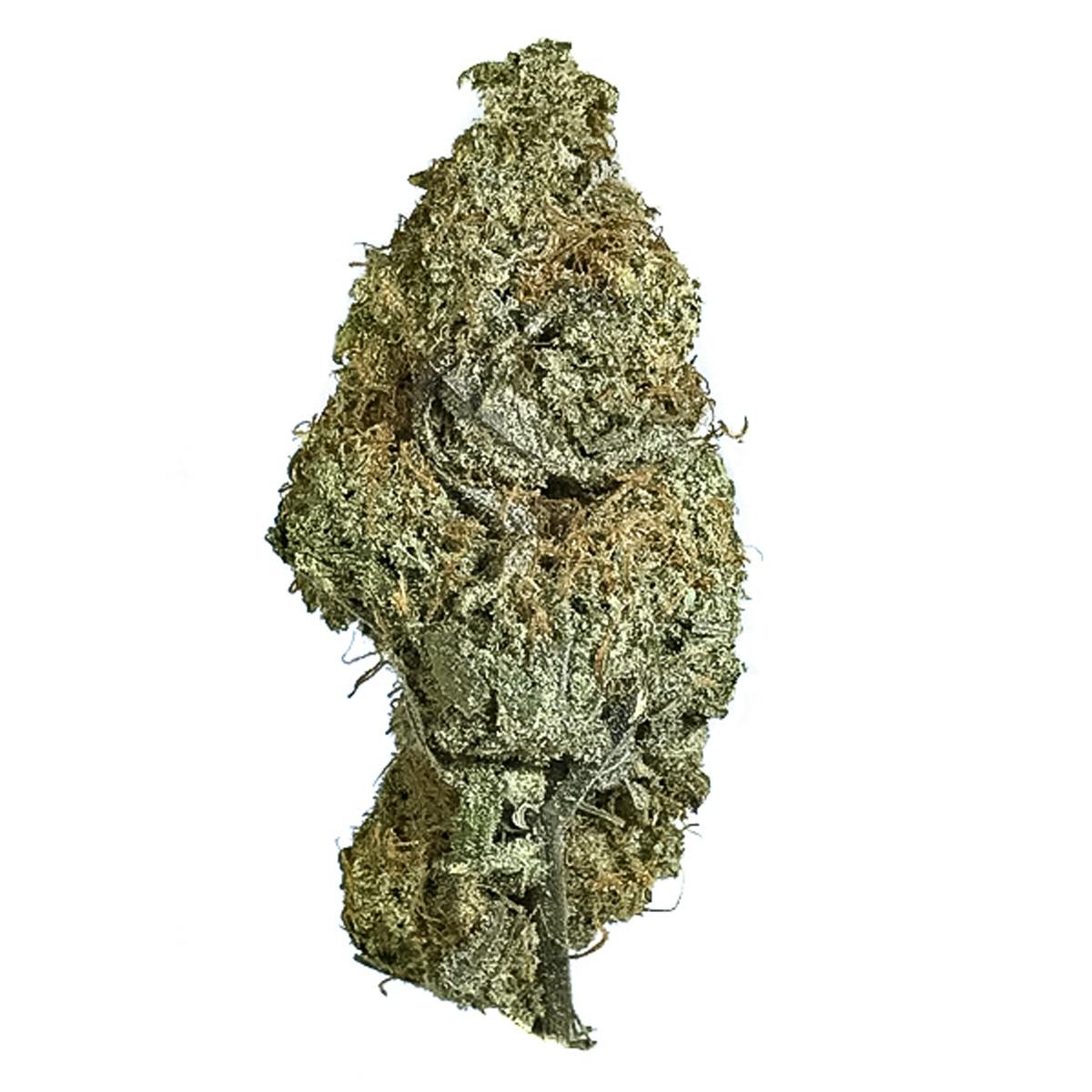 Flavor Guys - 9 LB Hammer - 1