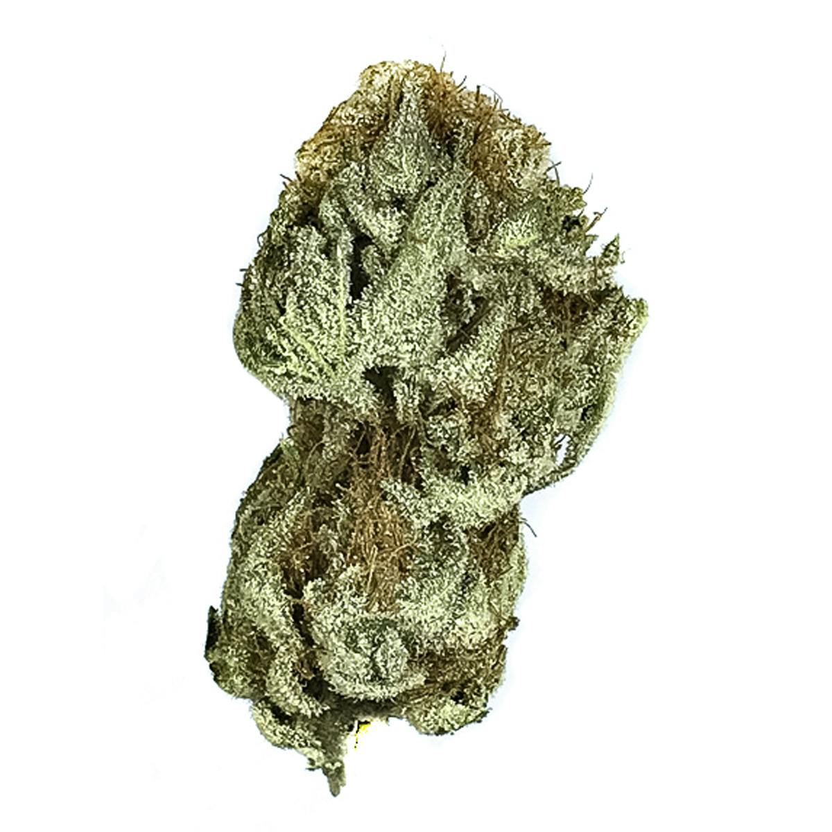 Flavor Guys - Shangri-la - 1