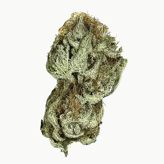 Flavor Guys - Shangri-la - 1