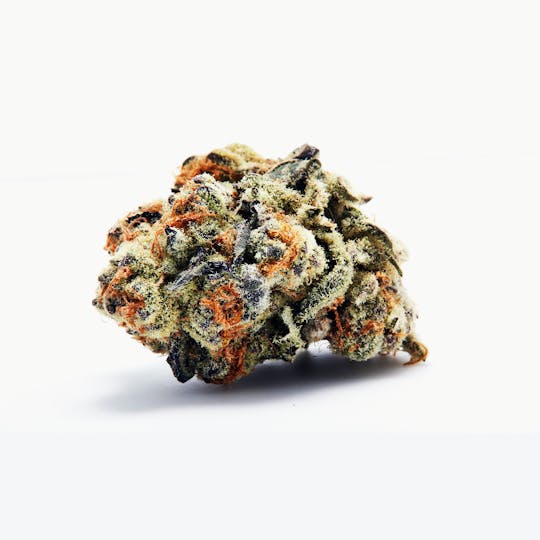 Tryke - Purple Punch - 1