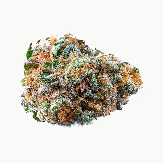 Tryke - Purple Starburst - 1