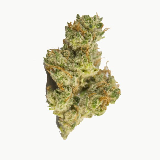 Aurora Blaze - Boom Boom - 1