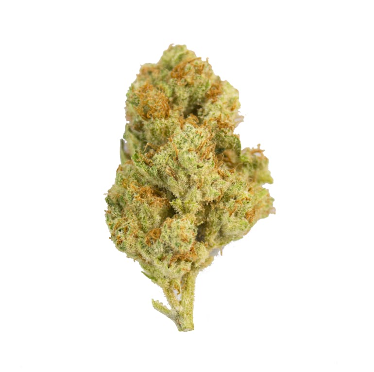 Aurora Blaze - Cal-Train Wreck - 1