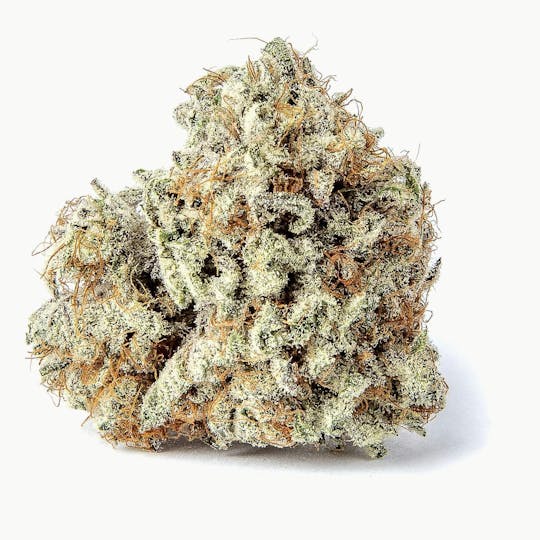 INDO Cannabis - Blackberry Kush | Flower | 3.5G - 1