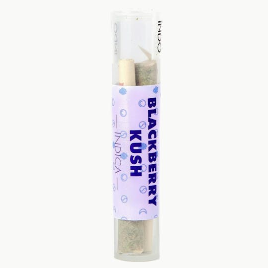 INDO Cannabis - Blackberry Kush | Preroll | 2 pack | .5G - 1