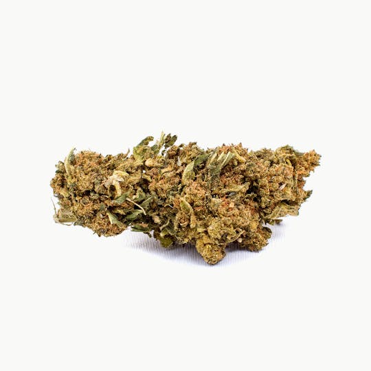 CBDplus - New York Diesel Haze - 1