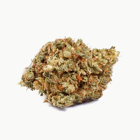 CBDplus - Orange Bud - 1