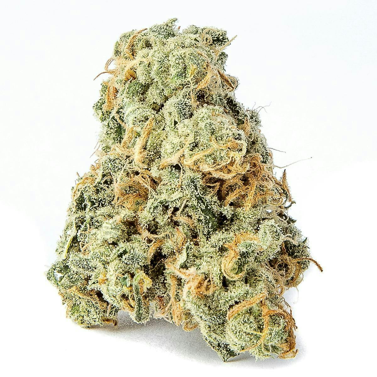 INDO Cannabis - Blue Cheese | flower | 3.5G - 1