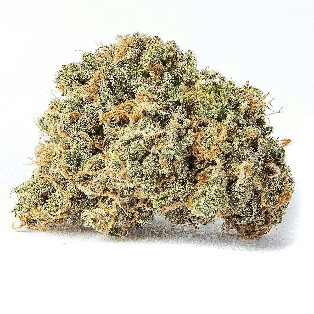 INDO Cannabis - Blue Magoo | Flower | 3.5G - 1