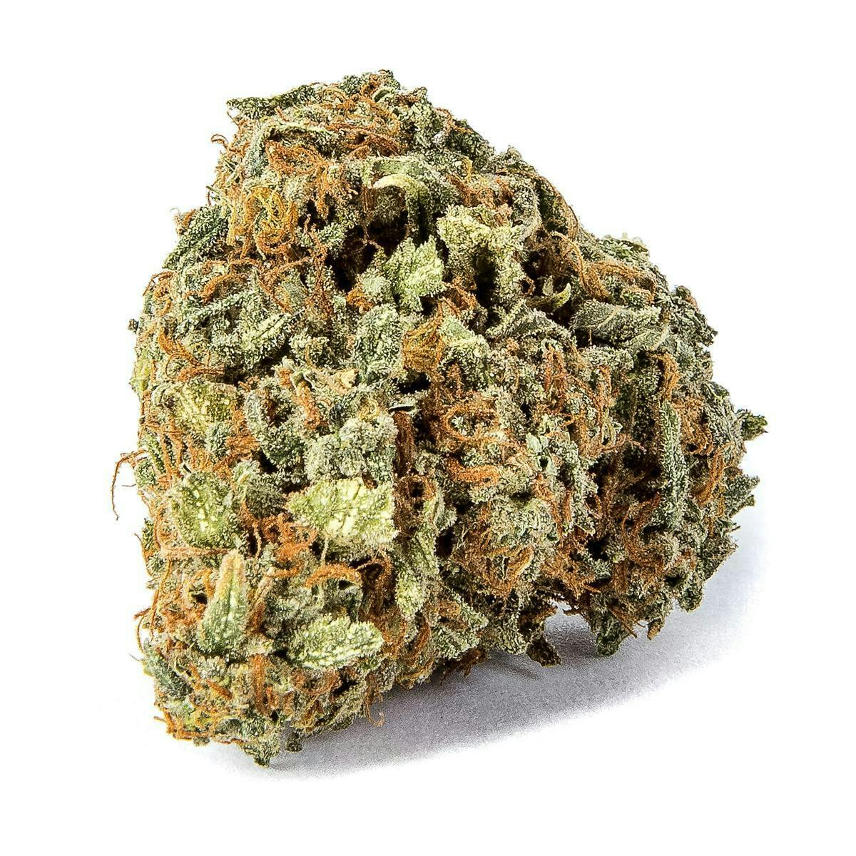 INDO Cannabis - Diesel Star | Flower | 3.5G - 1