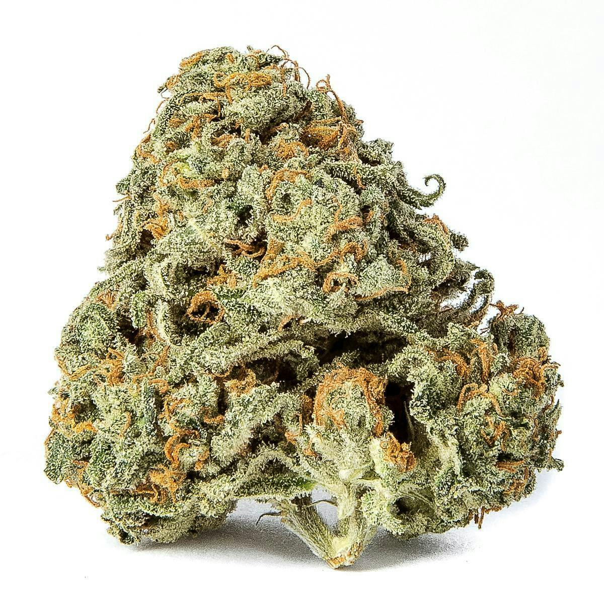 INDO Cannabis - Green Crack | Flower | 3.5G - 1