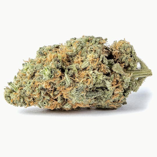 INDO Cannabis - Tangie | Flower | 3.5G - 1