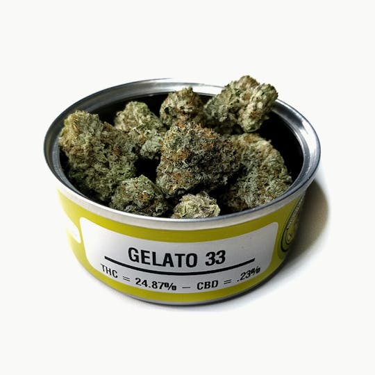 Space Monkey Meds - Gelato 33 - 1