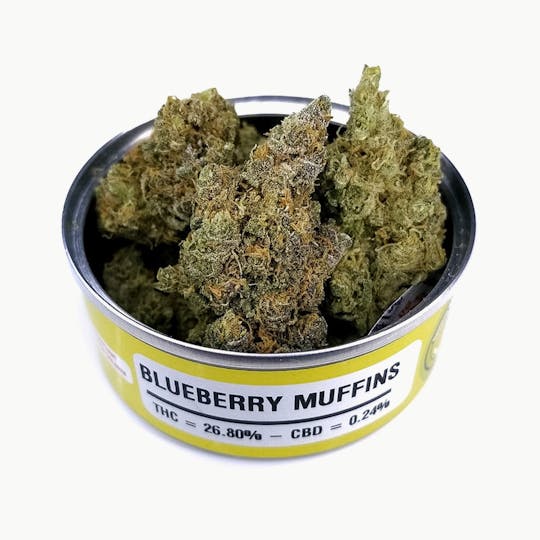 Space Monkey Meds - Blueberry Muffins - 1