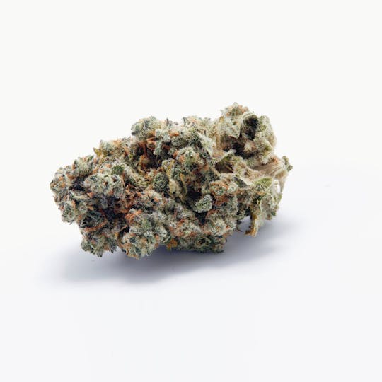 Tryke - Sundae Driver - 1