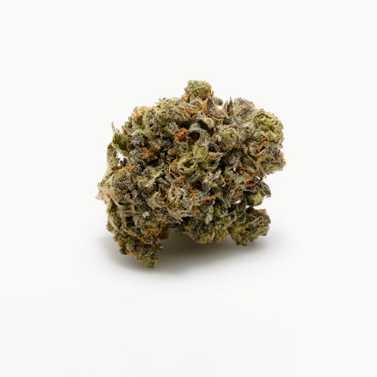 Tryke - Gelato - 1